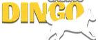 Casino Dingo