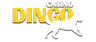 Casino Dingo