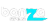 Bonza Spins Casino Welcome Bonus