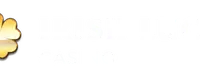 Go To Casino
