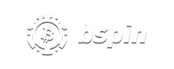 BSpin Loyalty Program