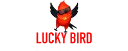 Lucky Bird Casino Spins In The Mayana