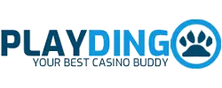 Playdingo Casino