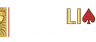 Black Lion Casino