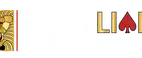 Black Lion Casino