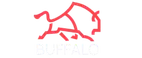 Buffalo Casino