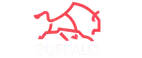 Buffalo Casino