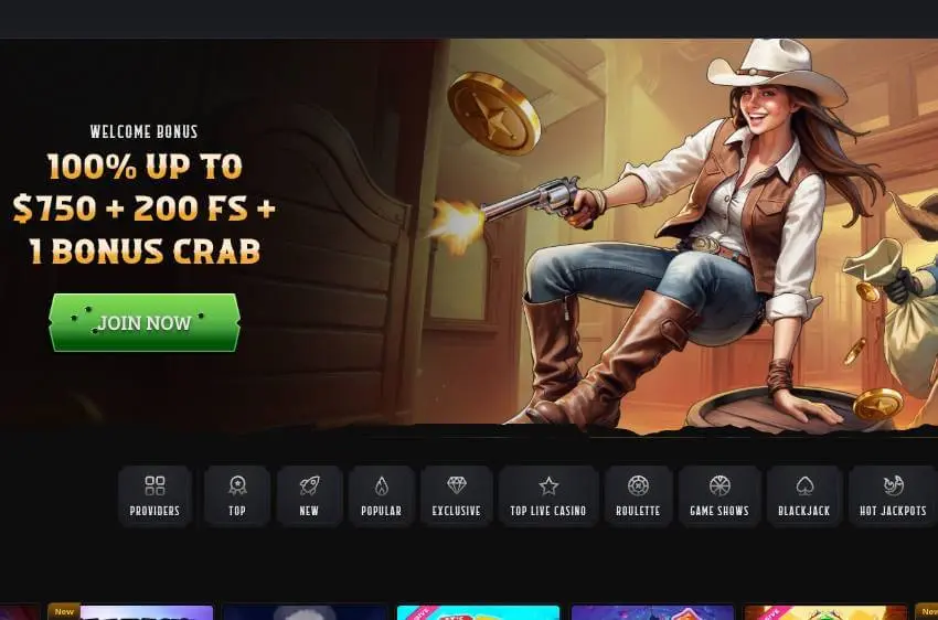 Wildsino casino welcome bonus